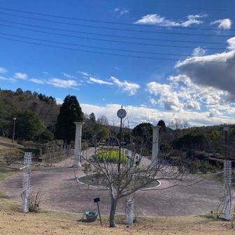 寒いので植物園も閑散