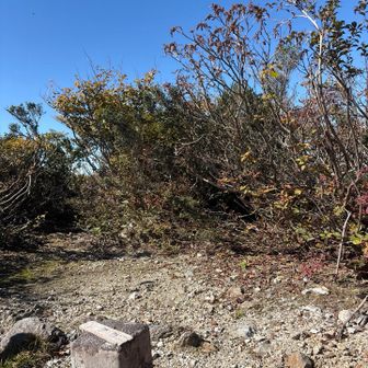 そして三周ヶ岳山頂〜👏
奥の藪を掻き分けてきたのに、眺望無しー🤣