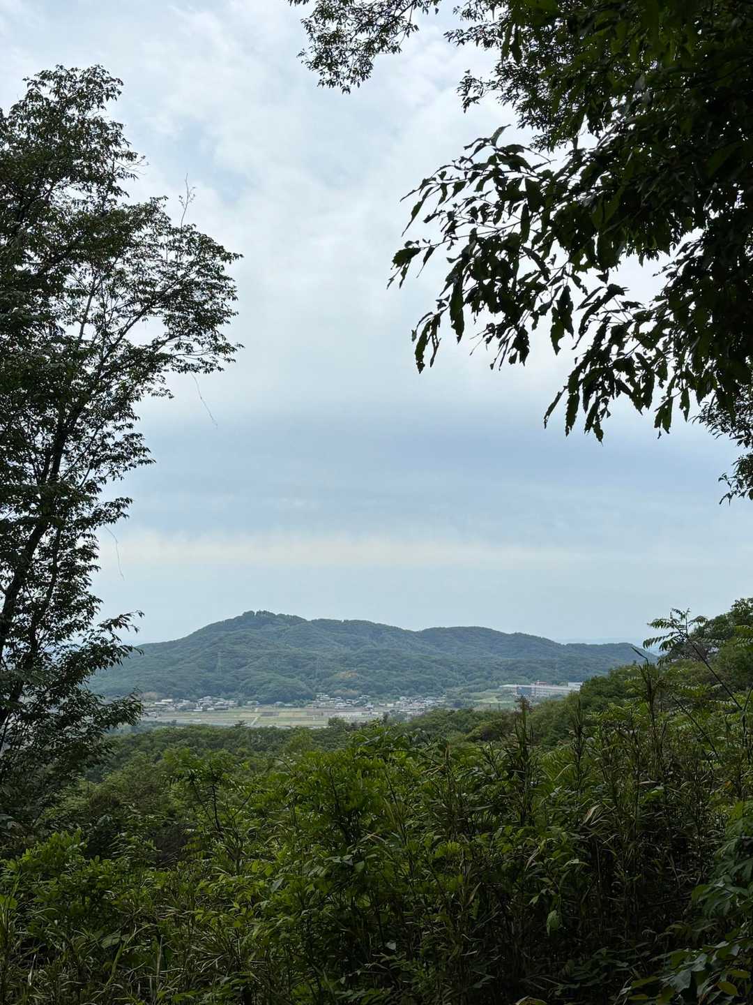 金山⛰️