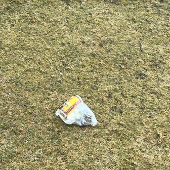 ゴミ、、、
拾いました💦