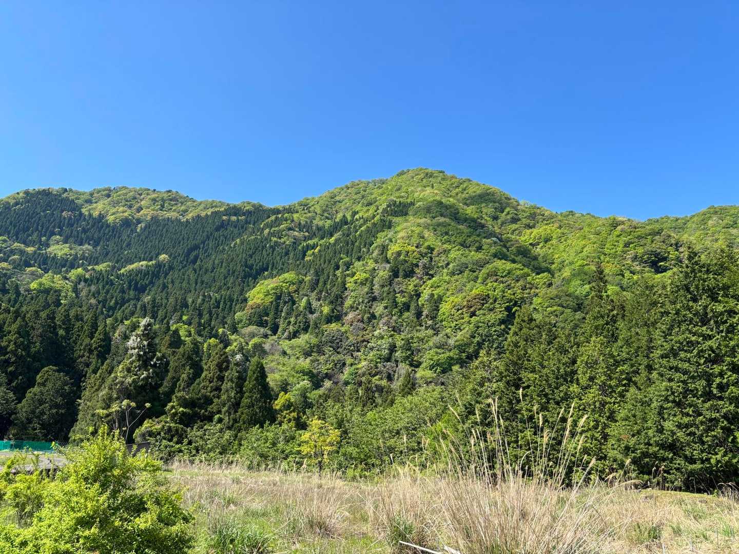 青葉山💕