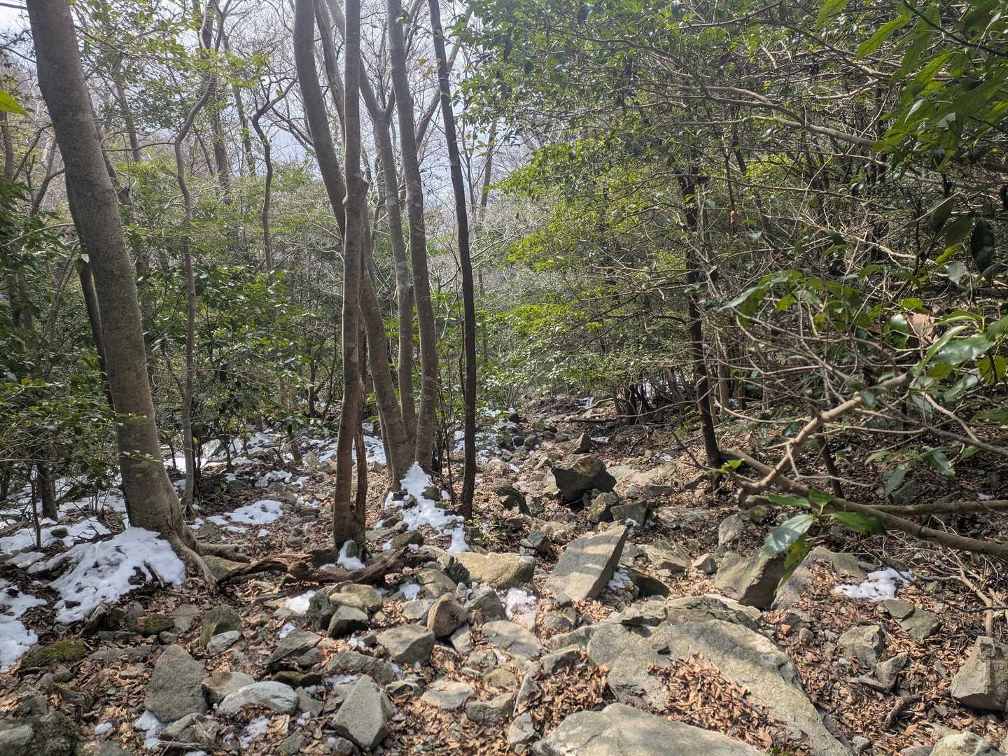舞岳・経ヶ岳登山口-舞岳-経ヶ岳 周回コースの写真