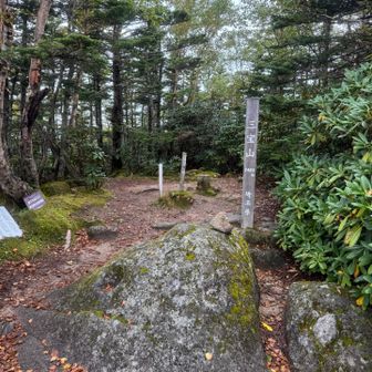 三宝山着。手前は急登、以外と登ります。
