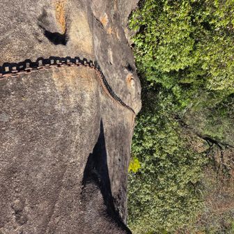 垂直やん🤣
落ちたら絶対あかん所👼