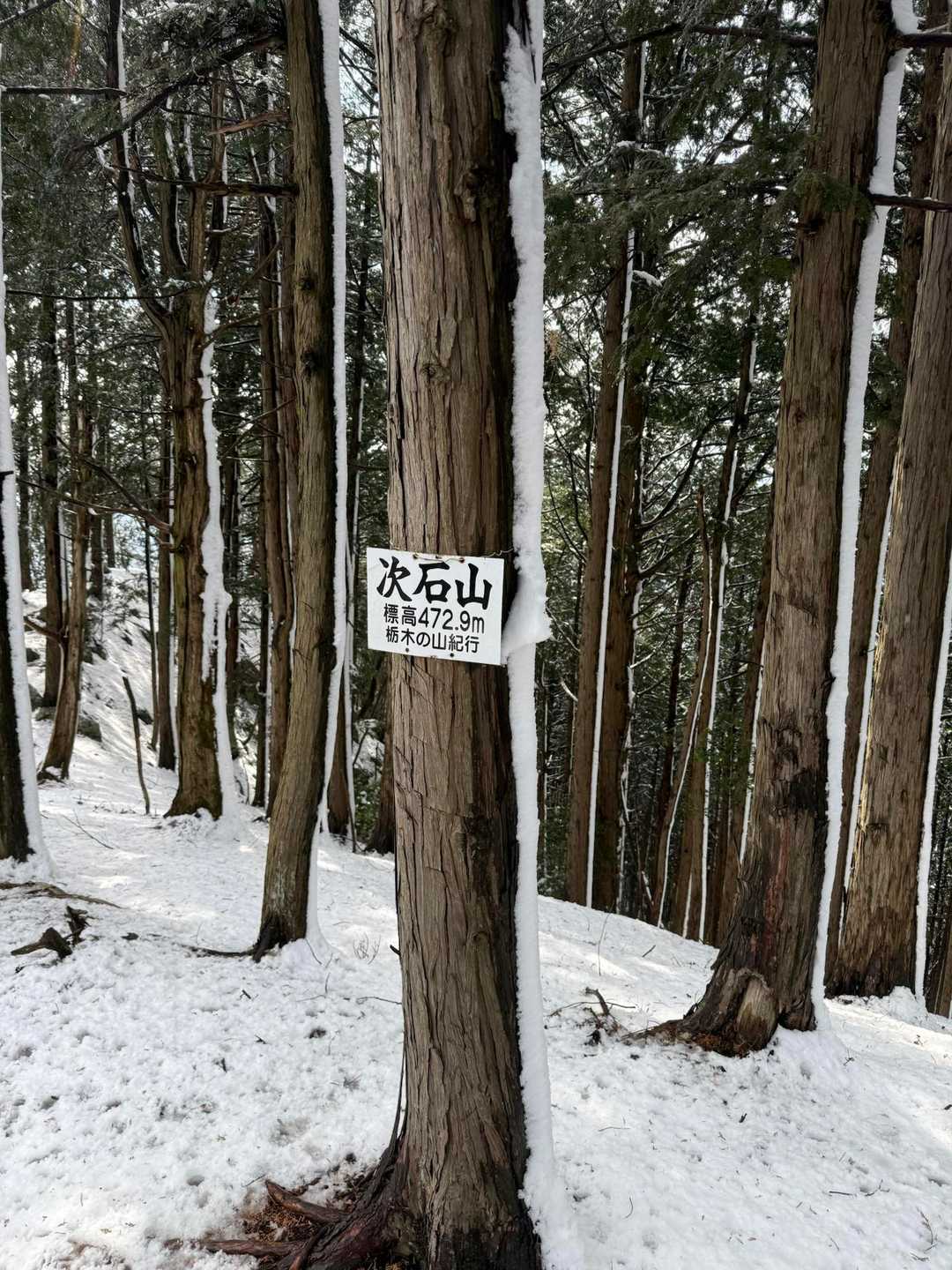  次石山登山口-小倉城山-小倉城八方館跡-今里山-与松山- 縦走コースの写真