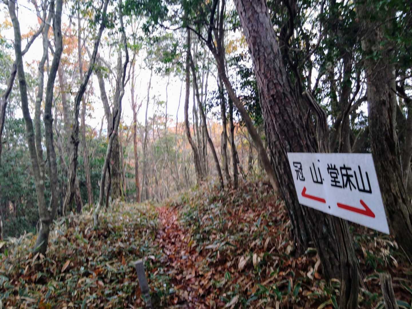 仕事が猛烈に忙しくてYAMAPを封印していました。久しぶりに開いたら紅葉の日記がたくさんあってウキウキしました。