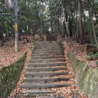 最後だけ階段。距離も短く余裕👍