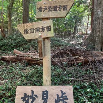 懐かしい〜☺️