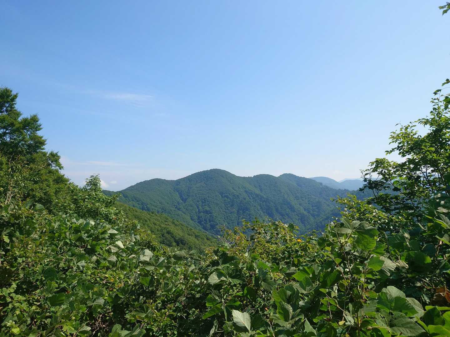 山頂広場-甑岳 往復コースの写真