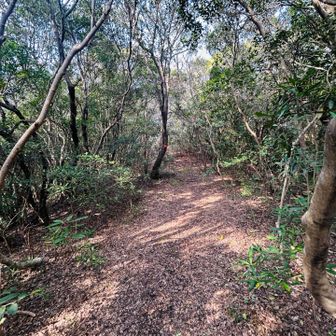 そちらへ向かう。