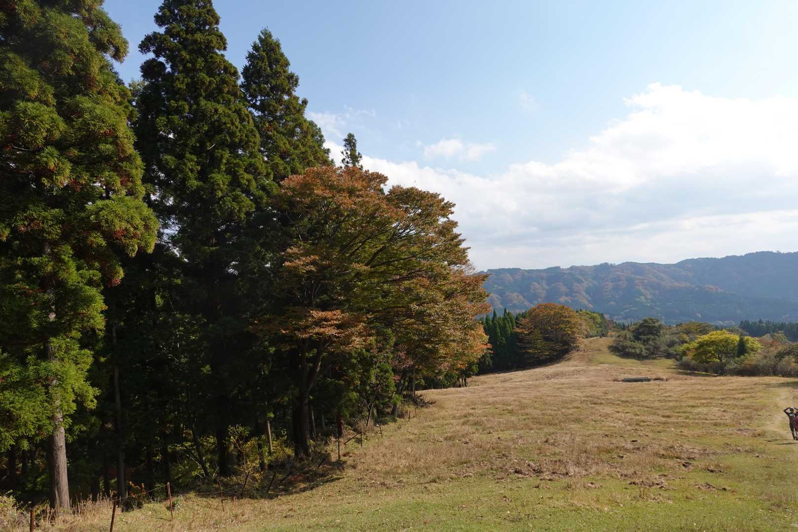 牧場に降りてきました