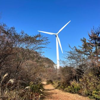 奥の風車の方が丸山らしいのですが、特に標識も何も無いと教わったので右の巻道を選びました