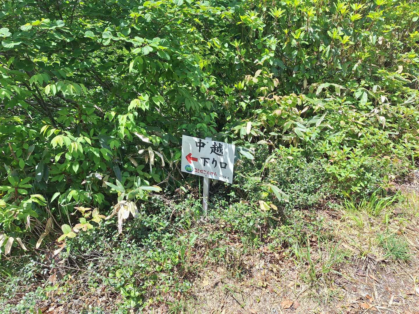 こちらから下ります。