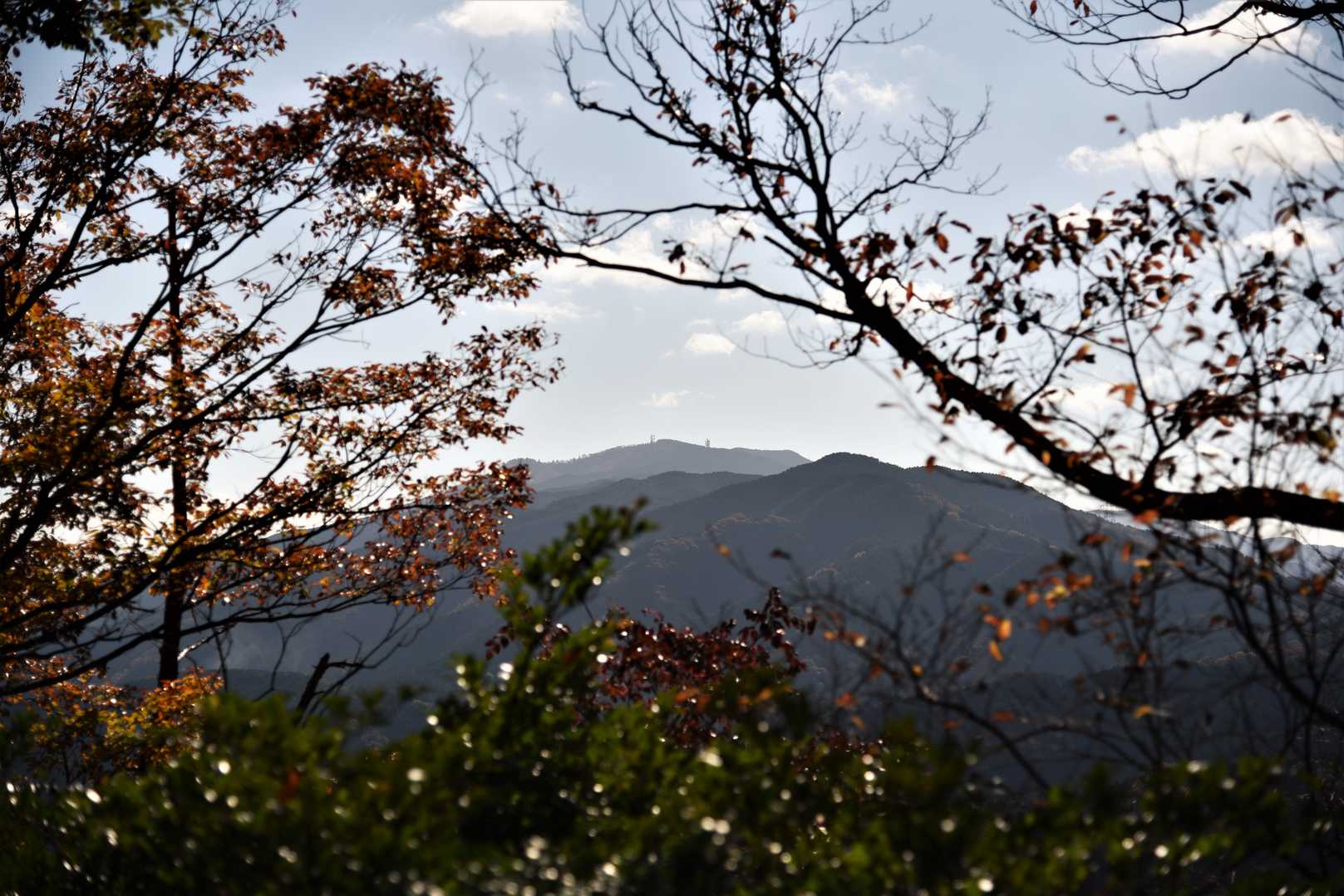 葛城山⛰