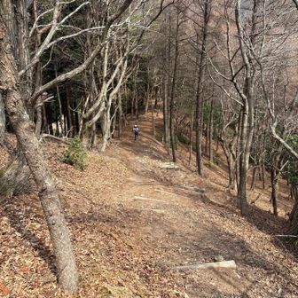 新しい靴も良かったらしく
天気もちょうどよくて
心地よい登山を楽しみました😊