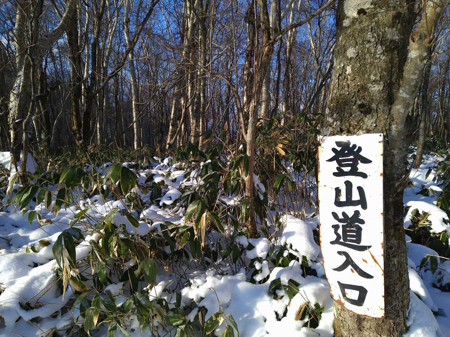 今度はこちらから滝へ向います