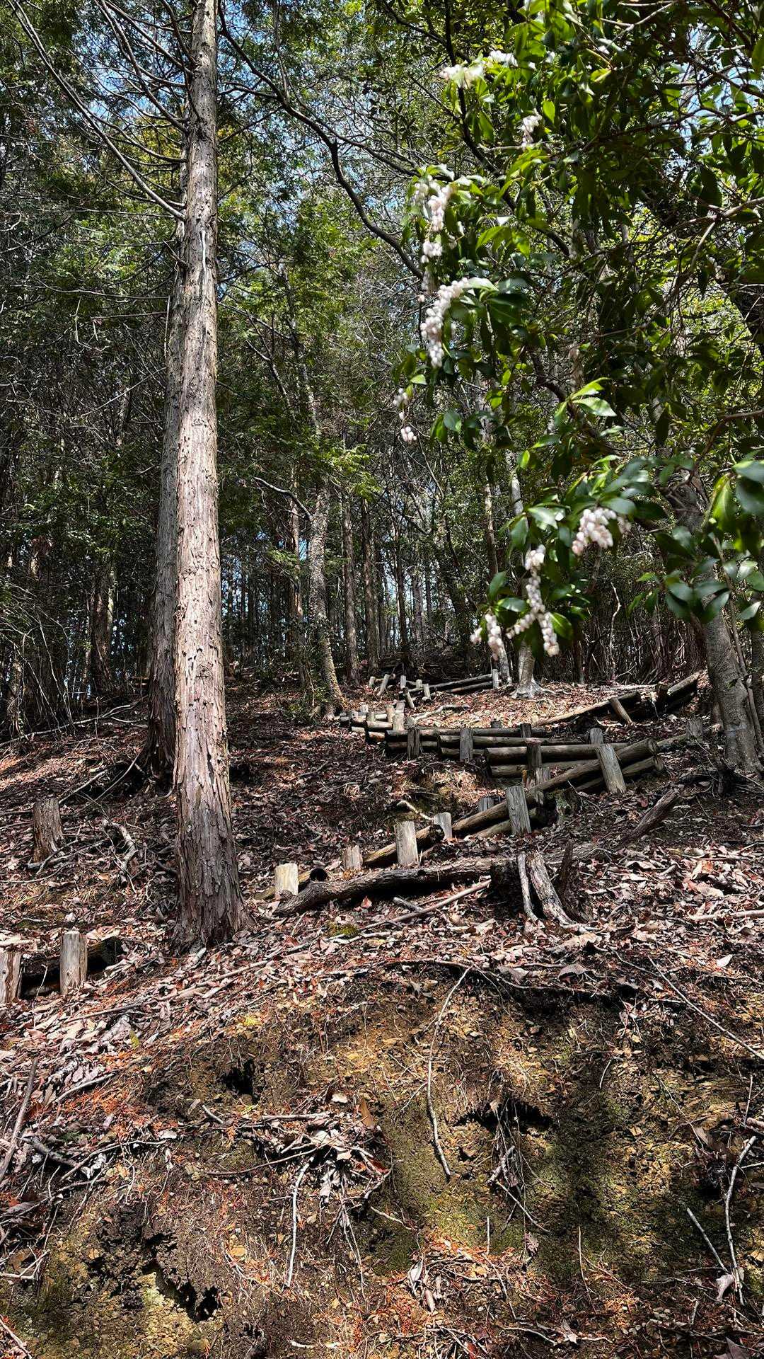 北山-長水山 周回コースの写真