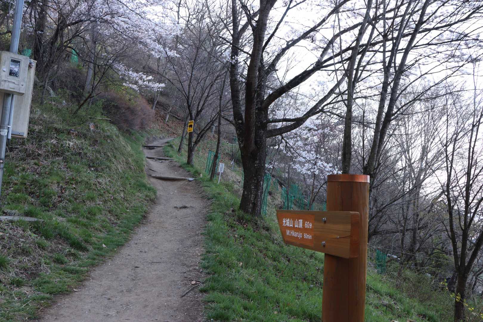 終始こんな登山道が続きますよ〜