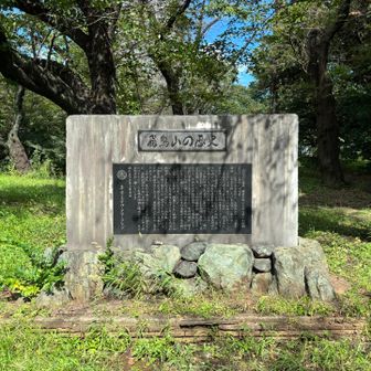 飛鳥山の歴史♪