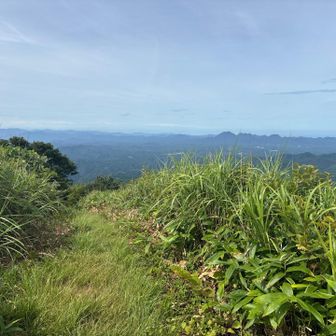 登山道は広がっている
