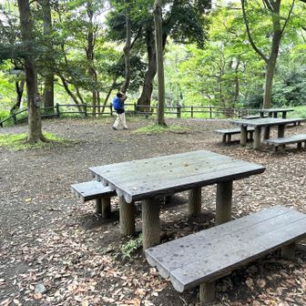 道中、🚧倒木ありましたが問題無し🍐

はい、分岐の広場です！