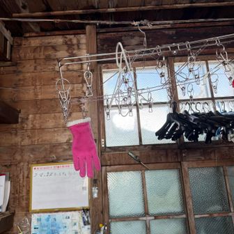 あ！！　私の手袋🧤　こんな所にあったのか！再会✨
吹雪の時に忘れて行ったのがありました🥹✨感動