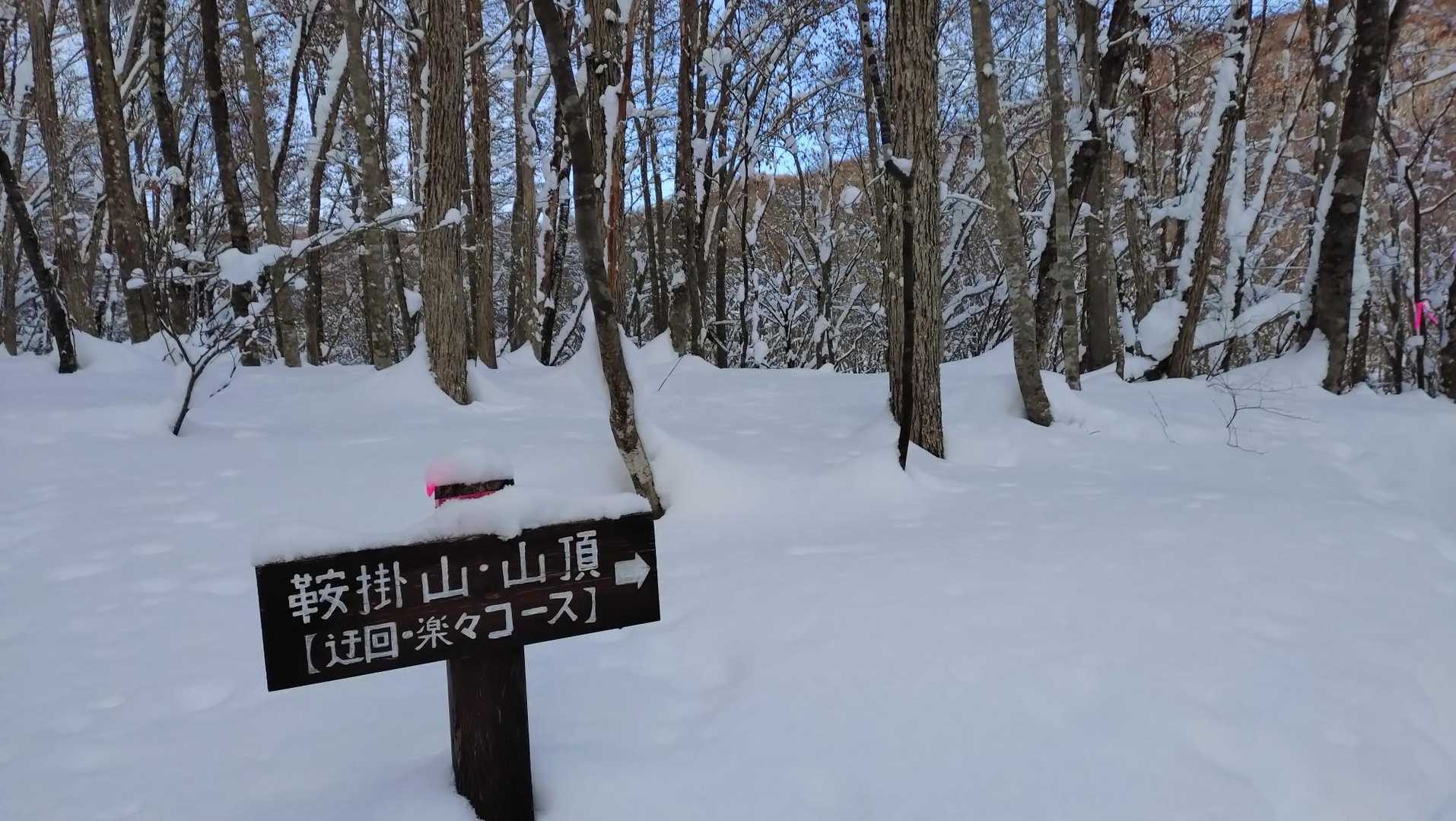 鞍掛山 往復コースの写真