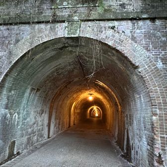 静岡側まで行きましてが
登山道間違えた💧