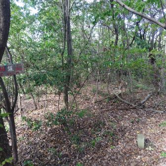 山頂は何もありませんので、伊勢落公民館の方に下山しました