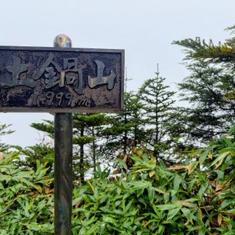 行きでは見つけられなかった土鍋山の標識が見つかりました👀
山頂付近で案内表示に逆らう必要がありました💦