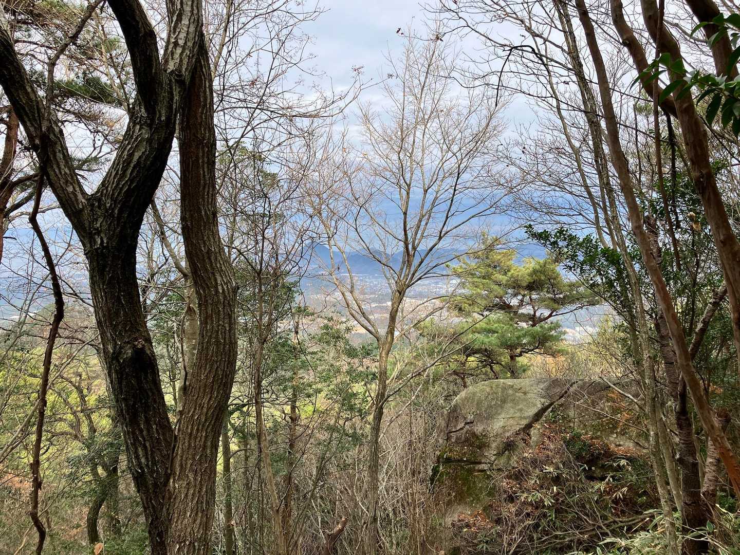 時折、こんな景色が見れます