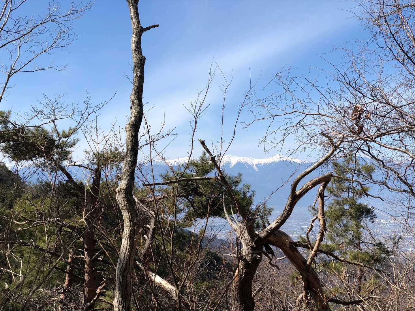 鳥坂トンネルバス停-鳥坂峠-春日沢ノ頭-春日山 往復コースの写真