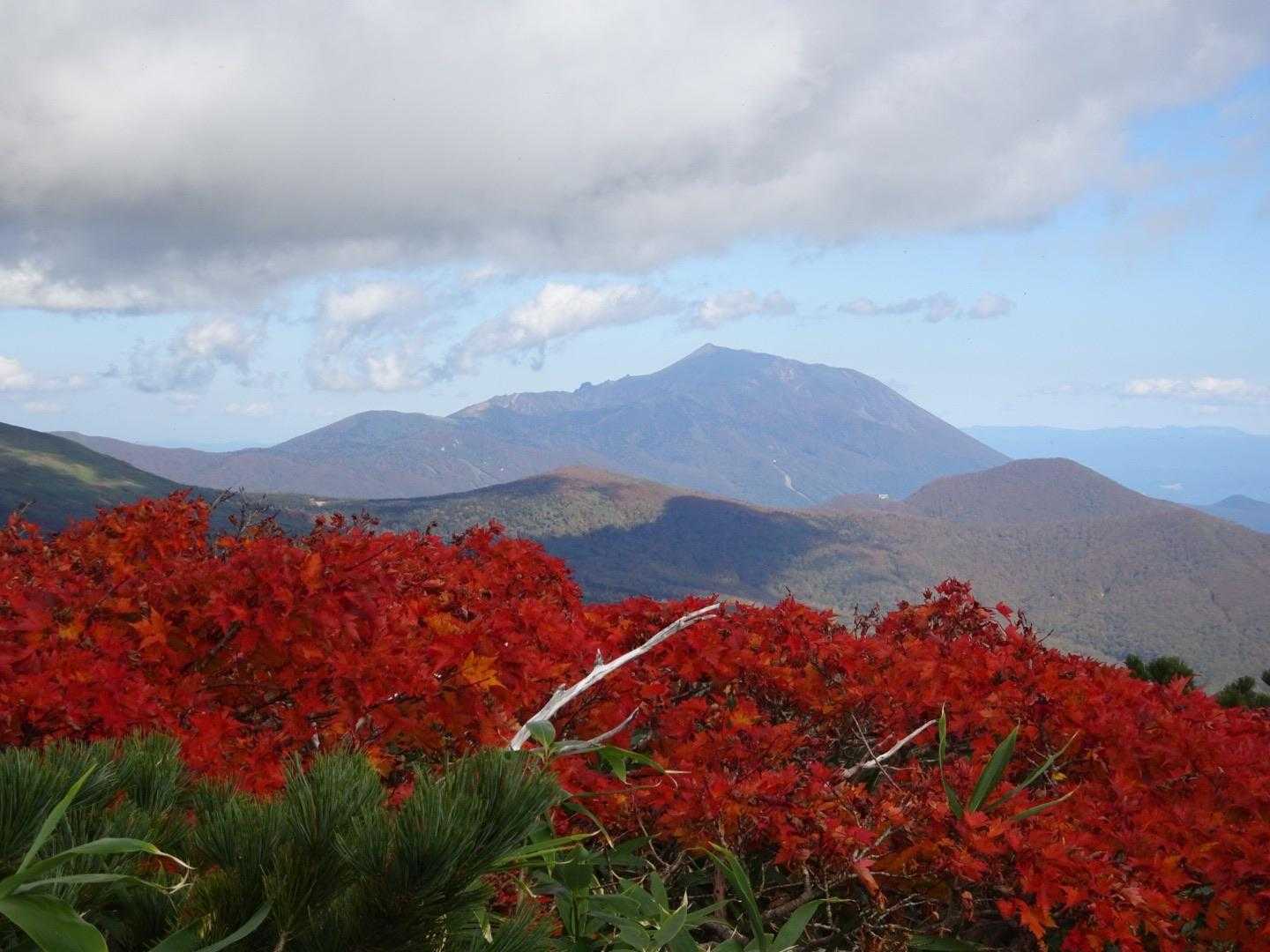駒池-秋田駒ヶ岳国見コース登山口 縦走コースの写真