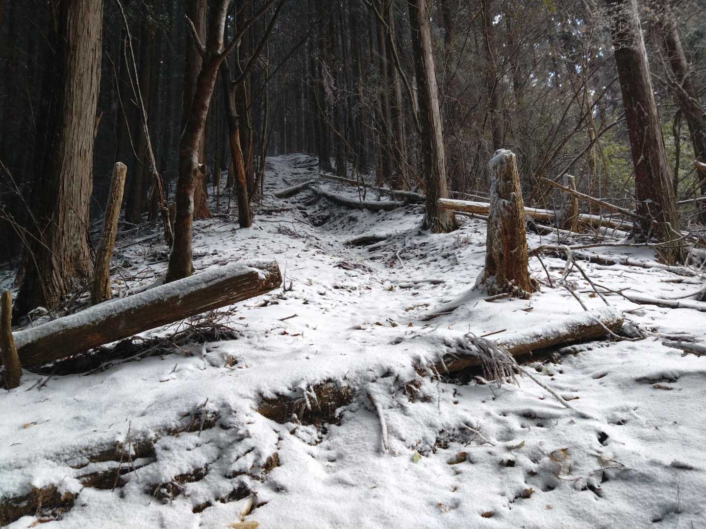 雪の激登り❄
アイゼンまではいらないけど😵