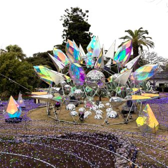 江の島サムエル・コッキング苑を散策。