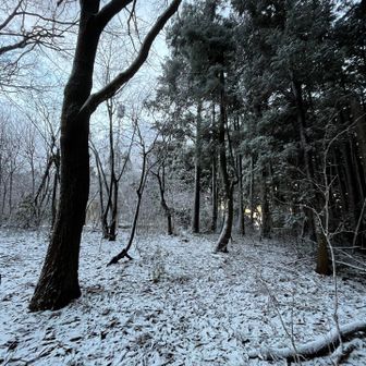 橋立山くらいから薄っすらと☃️