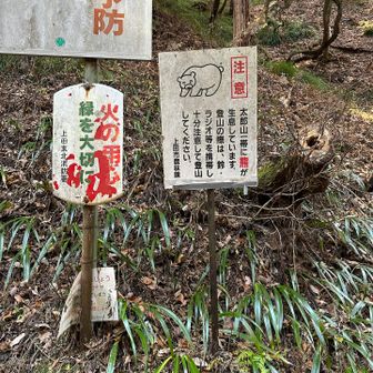 ここももれなく熊🐻情報が
YAMAPにも載ってました