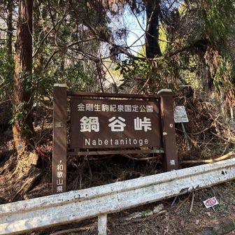 鍋谷峠
「ここ、車で来れるや…」なんてことは言いません😁
歩いてこその達成感！✨