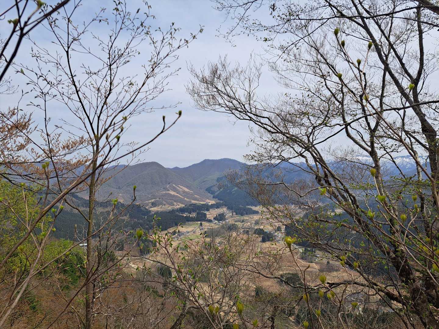 竜馬山登山口-竜馬山 往復コースの写真