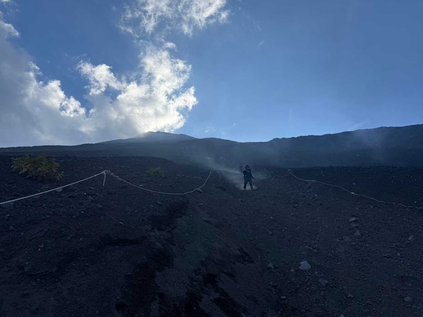 思いっきり走って下山できますww