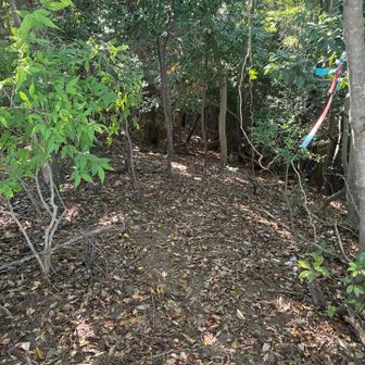 下山路はオルレルートを慎重に