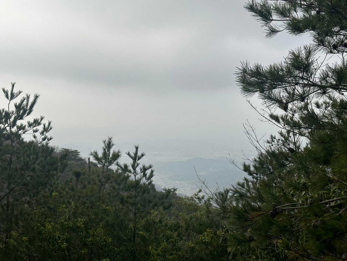 大倉山 周回コースの写真