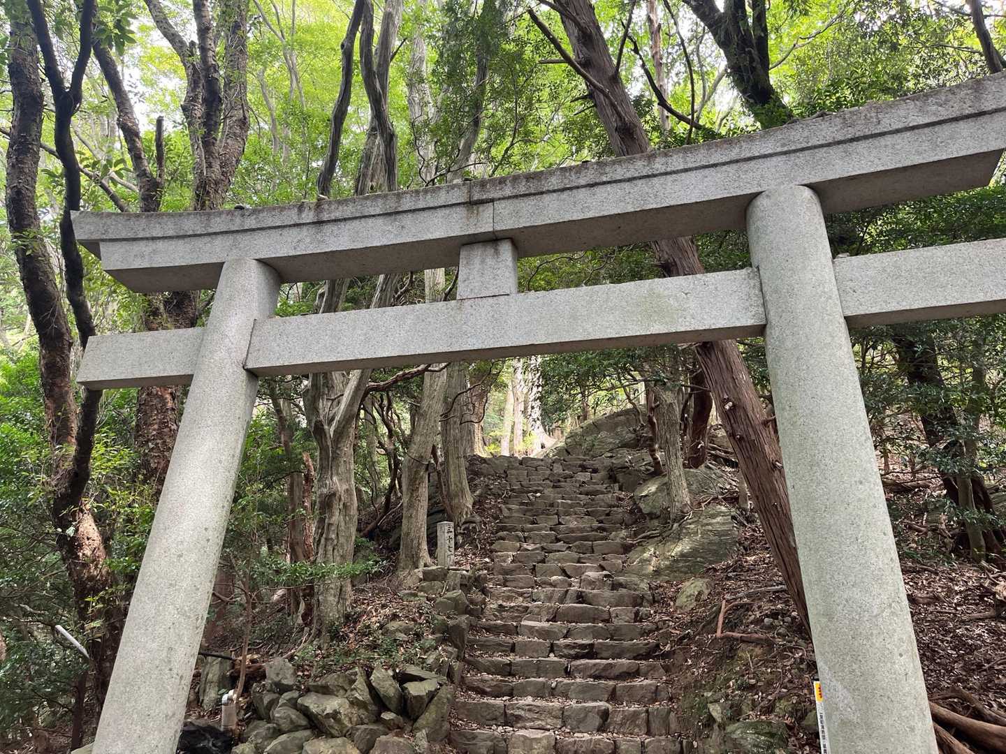 鳥居⛩️①
通過。