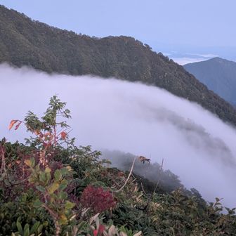 振り返ると規模は小さいですが、滝雲出現！？
