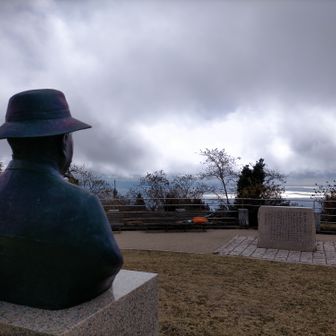 オオイヌノフグリ