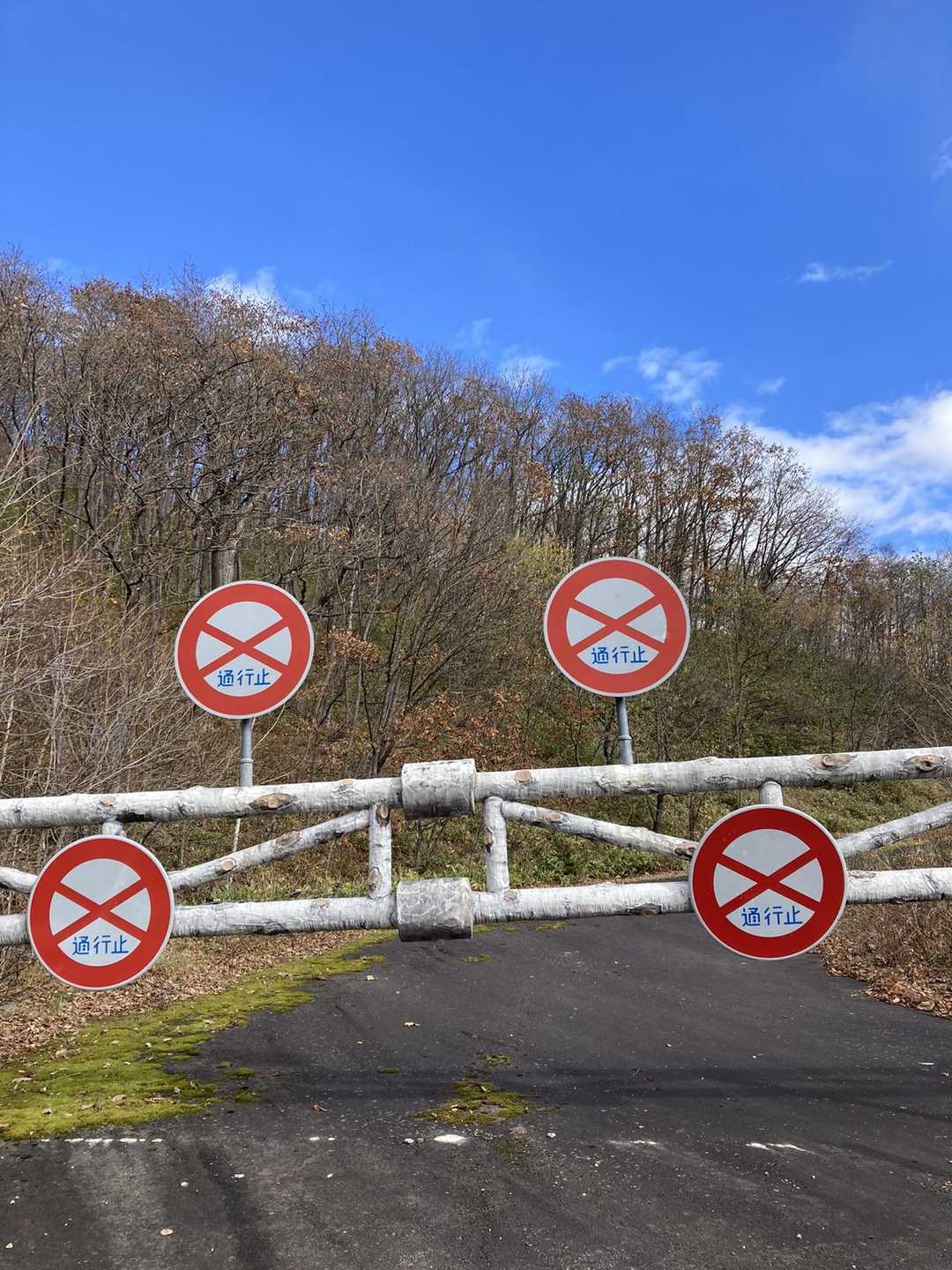 ここに出ます🤣道路でしたー