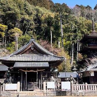 正面からの八幡宮