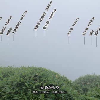 昨日登った瓶ヶ森
もちろん見えません😭