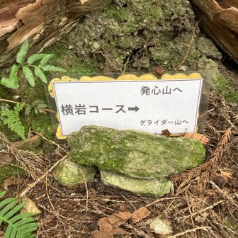 今度はこのコースで😉