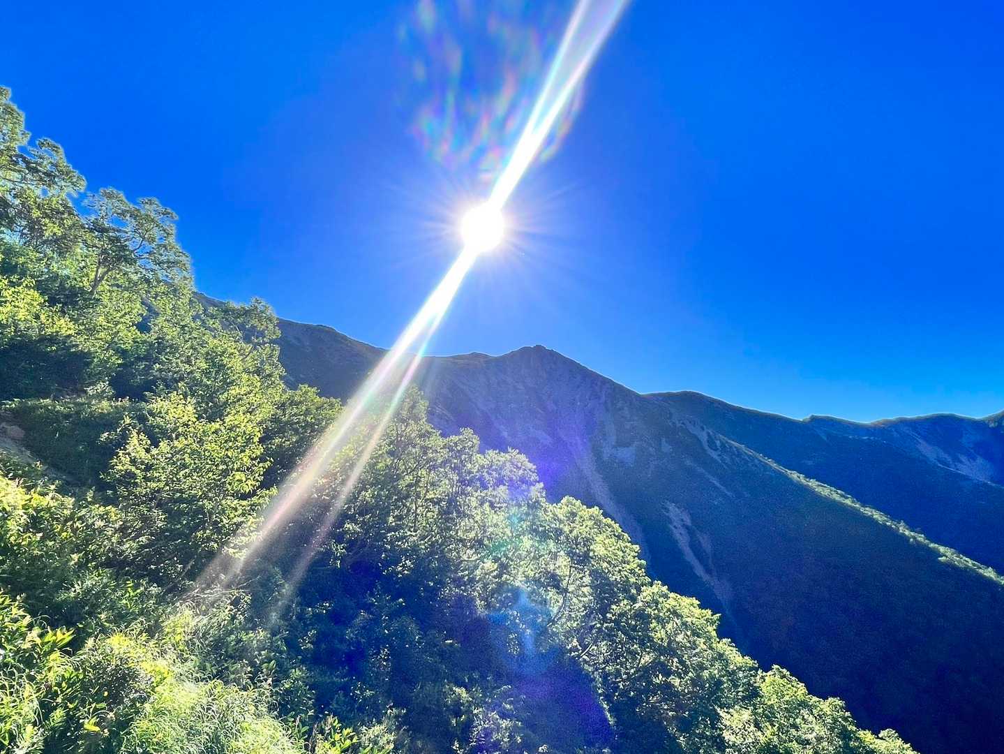 今日もピーカン☀️